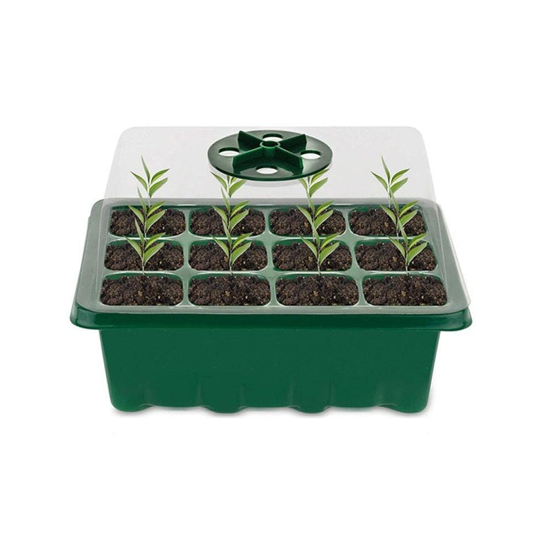5 estufas semeadouras de muda com 12 furos Estufa semeadora Floresca Verde 
